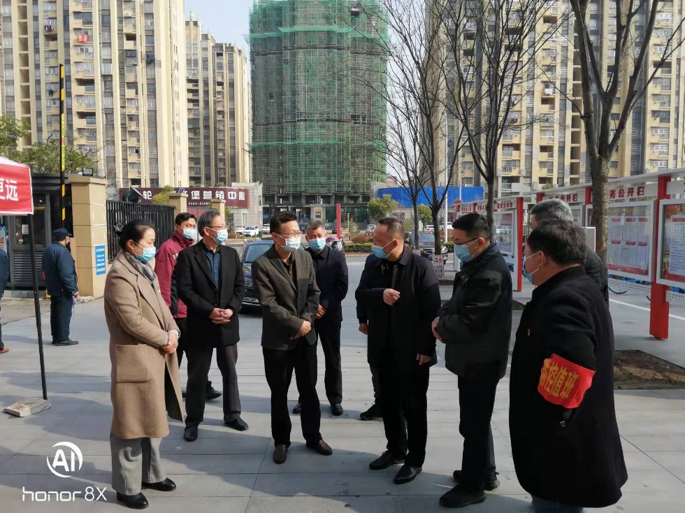 3.23市政协副主席陆丰一行来定远检查疫情防控工作.jpg