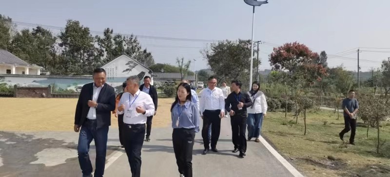 微信图片_20241011调研视察人居环境整治工作.jpg